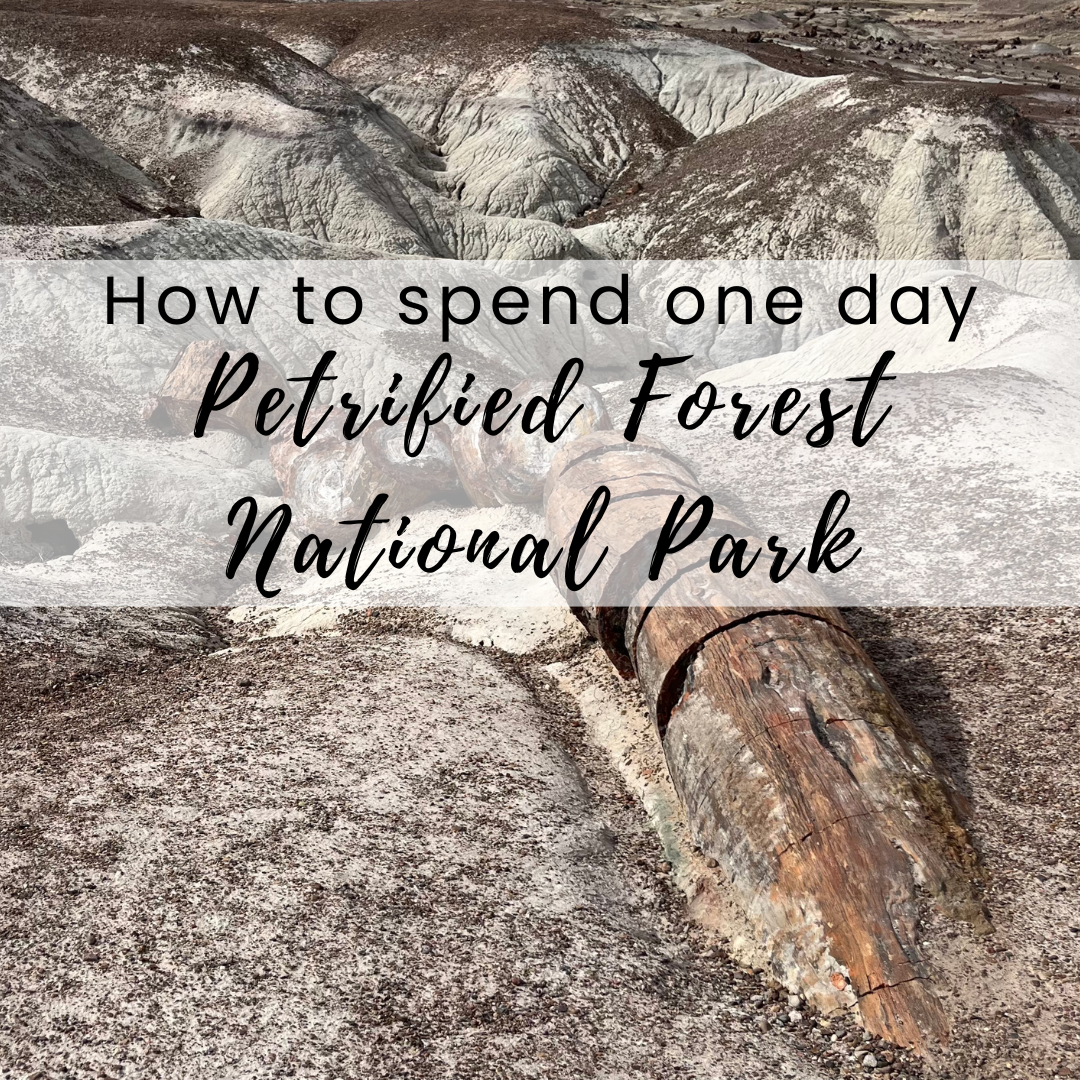 How to spend one day at Petrified Forest National Park